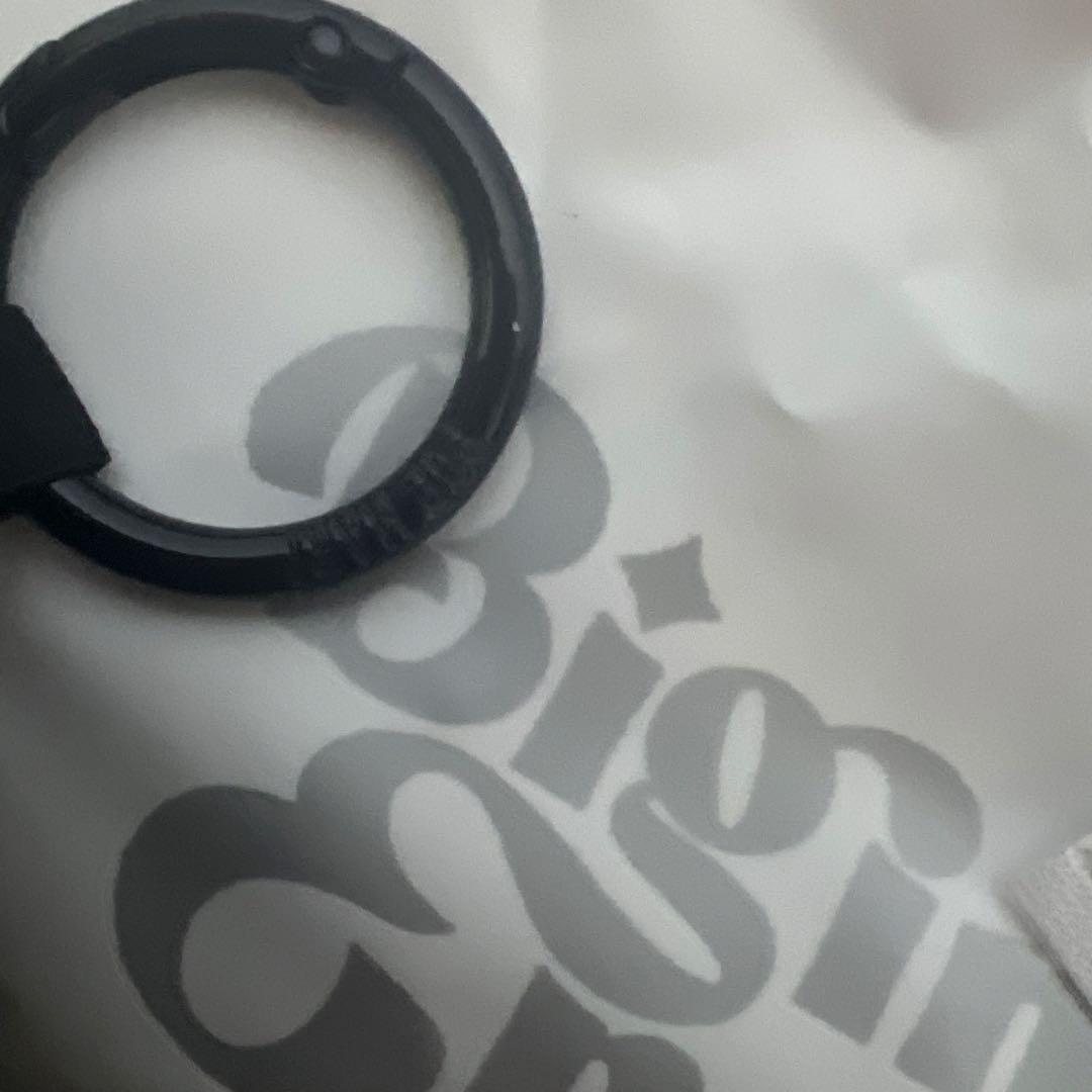 セ*ん様 【正規品】Labubu Big into Energy ラブブ シーク