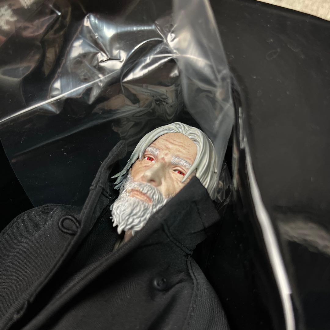 【開封のみ】皮面偽装個体　灰眩　東亜重工