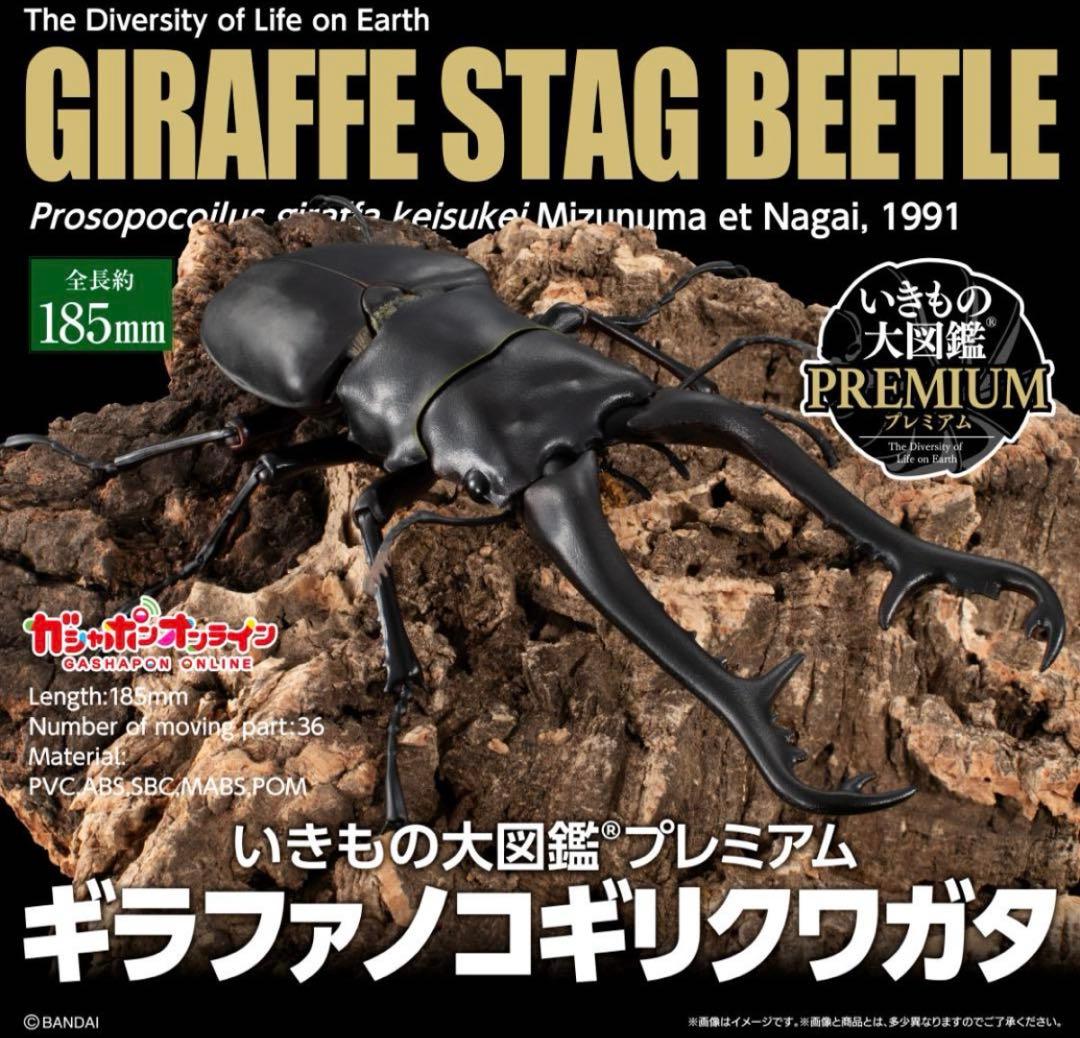 いきもの大図鑑　プレミアム　ギラファノノコギリクワガタ　ヘラクレスリッキー