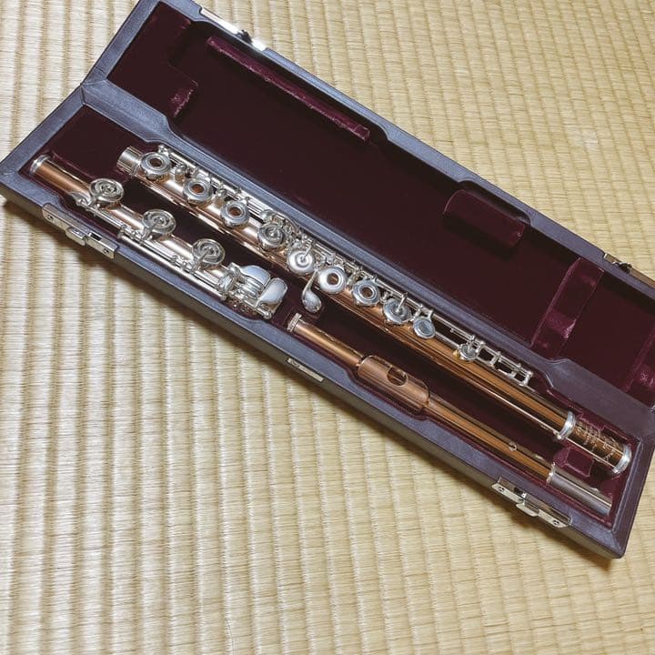 Tetra JET ヒーター 100W 3個セット 50w8個