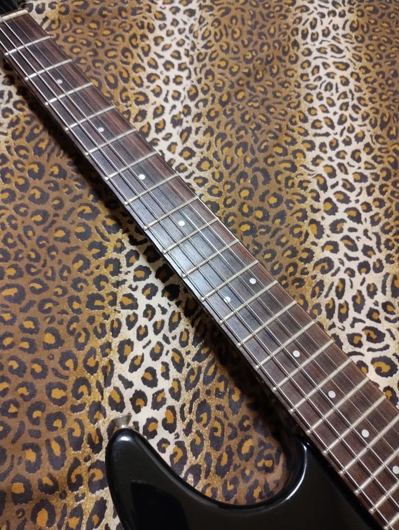 Fernandes function/Lシリアル89年製/JAPANビンテージ - メルカリ