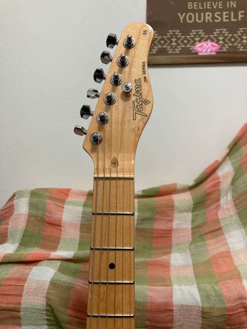 Tagima テレキャスタータイプ　TW-55