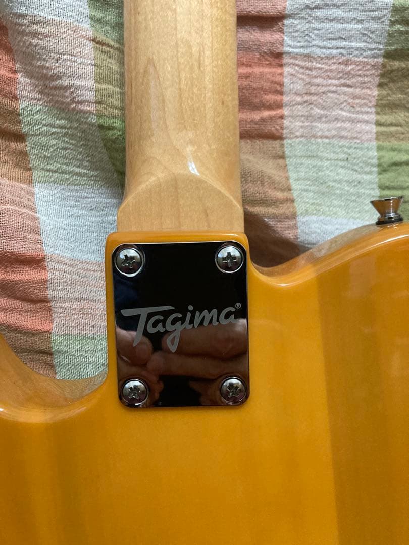 Tagima テレキャスタータイプ　TW-55