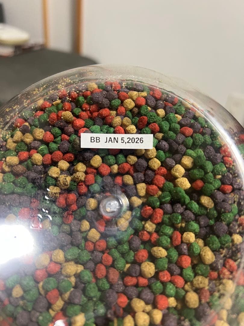 レップカルフード　レップカル　リクガメ　亀の餌　リクガメフード　1.36kg