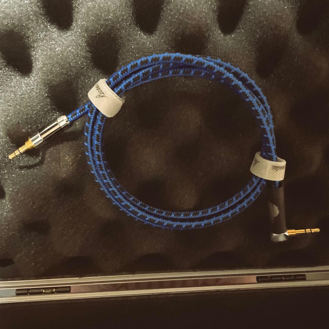 【美品】3Dio FS free space ASMR バイノーラルマイク