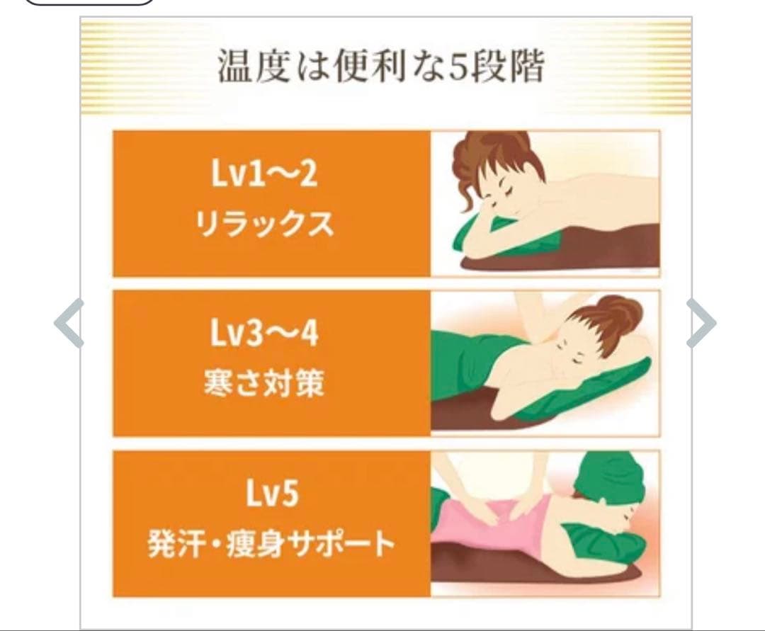 今だけ！タイマー機能付き ヒートマット ベルベットベッドカバー 2点セット