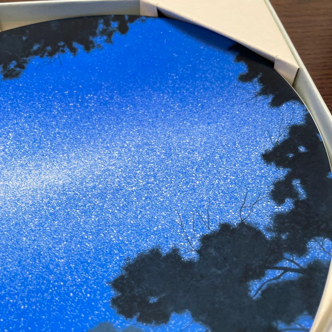 銀河」GALAXY・千住博・陶板画・箱入・栞付・ROYAL Copen・