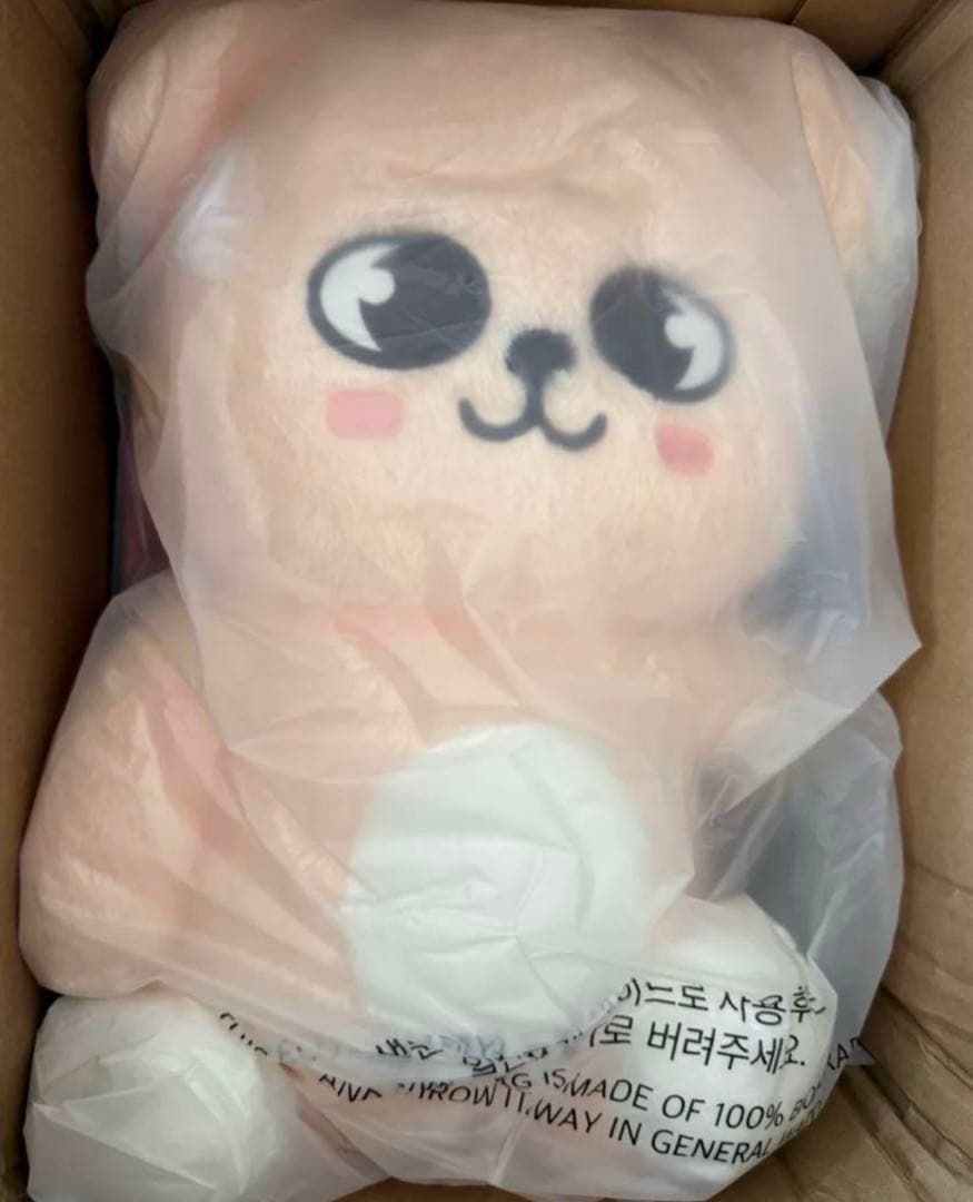 る*き様 特典付き★StrayKids SKZOOスンミン テディ パピーム ぬ スンミン パピーム スキズ straykids skzoo Stray Kids スキズ skzoo