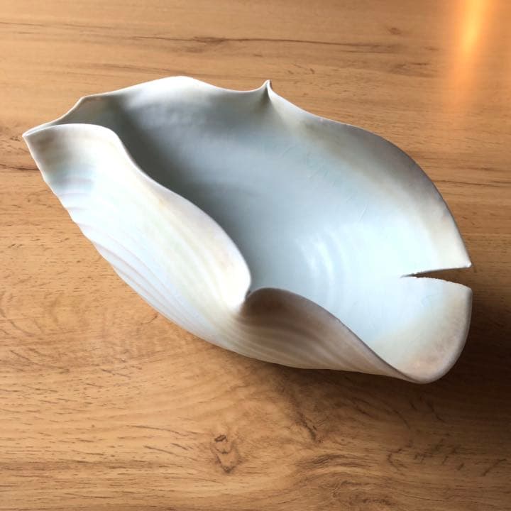 田村一　うつわ　唇器 田村一 うつわ 唇器 田村一 うつわ 唇器