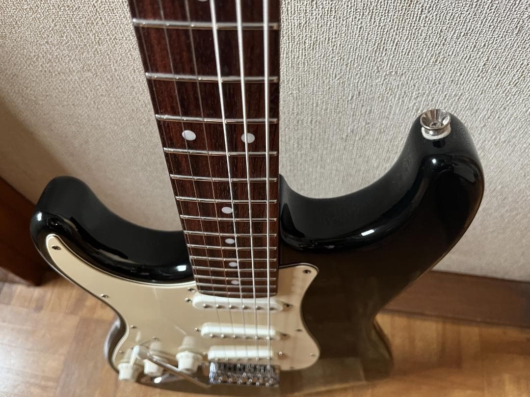 ギター SELDER / STRATO-type / Lefty / Black