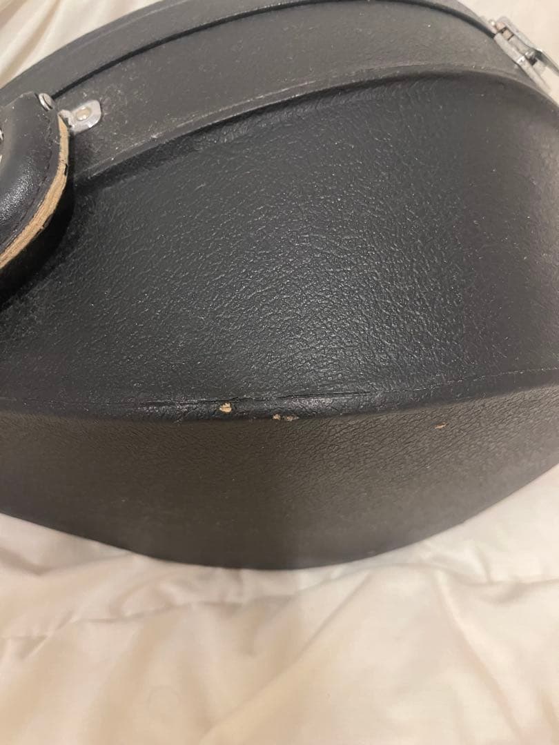 マンドリンと黒いケースセット