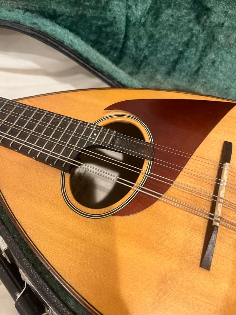 マンドリンと黒いケースセット