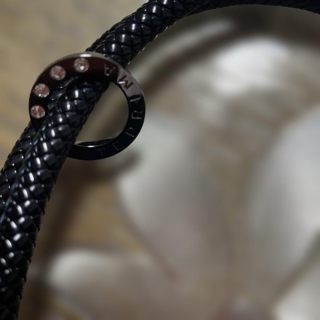 アンテプリマ　バック