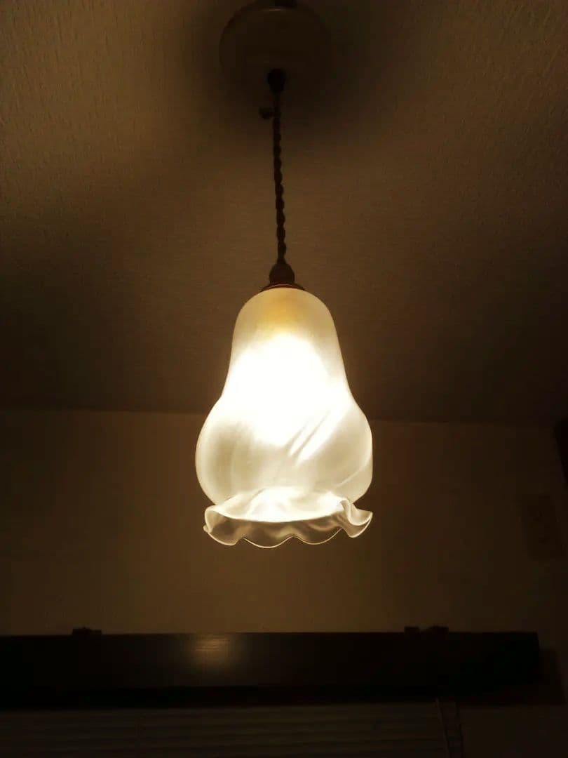 フランスのガラスシェード アンティーク