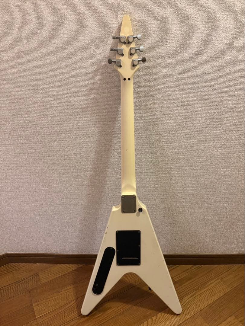 ギター Fernandes The Function