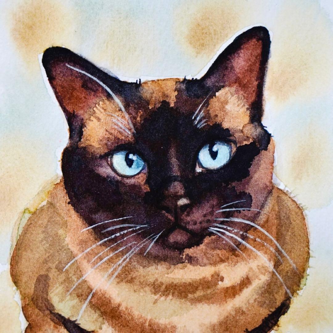 猫の絵276 水彩画 原画 シャム猫 2L - メルカリ シャム猫の絵 水彩画