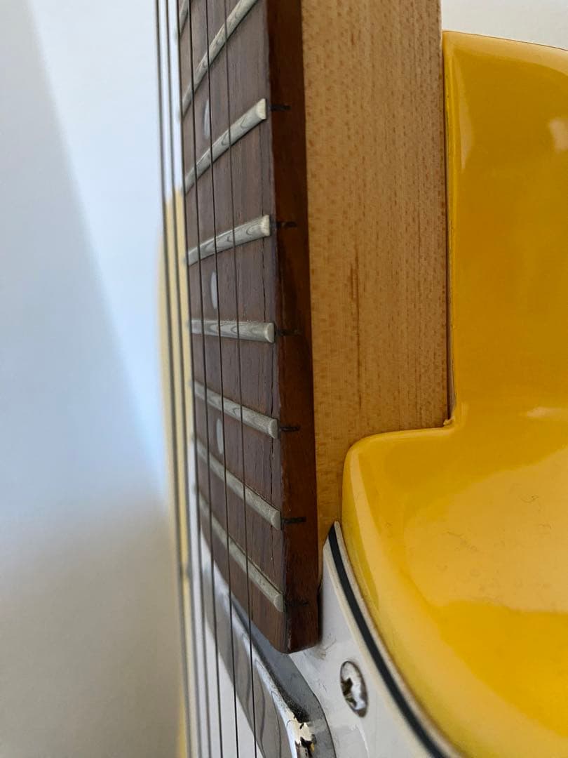 Bacchusテレキャスタータイプ エレキギター