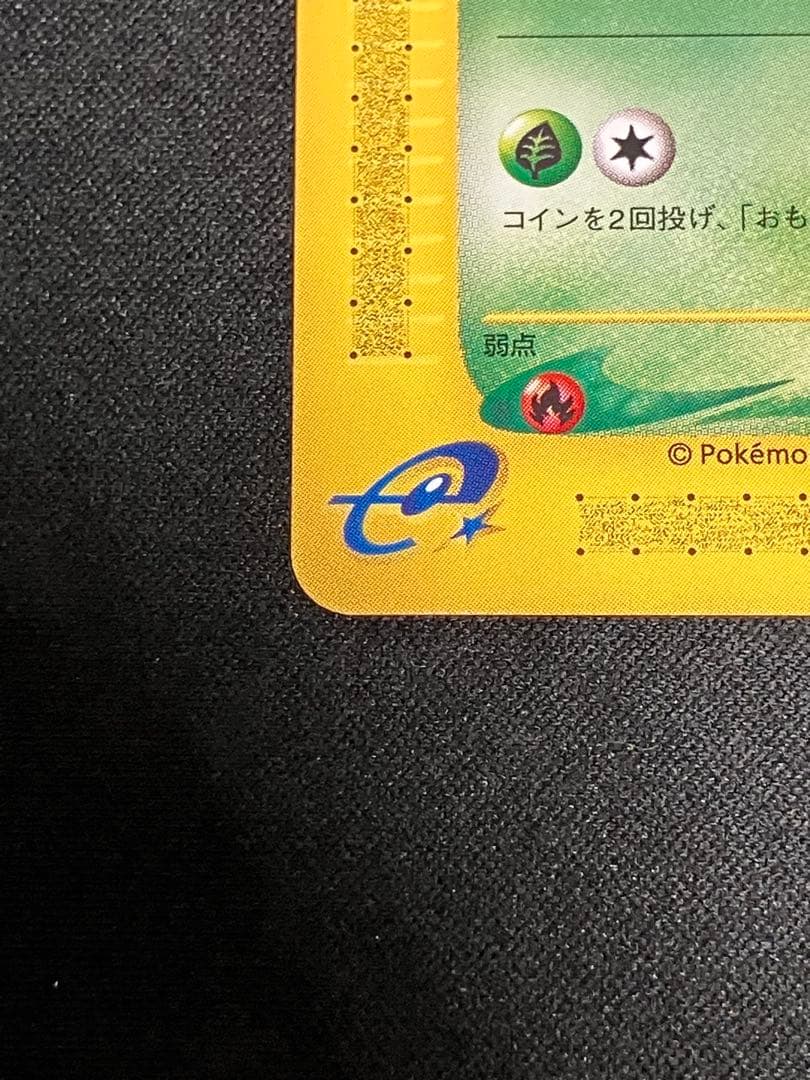 【特価・超希少】アンリミ チコリータ カードe 005/029 みつめる