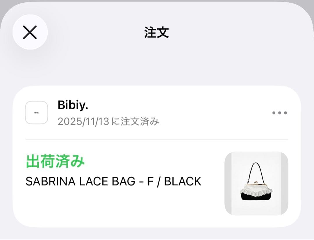 バッグ Bibiy. SABRINA LACE BAG