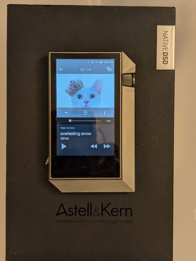 ジャンク品　Astell&Kern デジタルオーディオプレーヤー AK240 Astell & Kern AK240 High-resolution portable music player with Wi