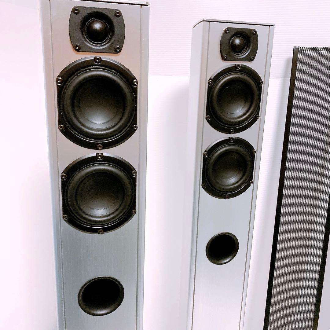 Piega TS5 スイス製トールボーイスピーカー