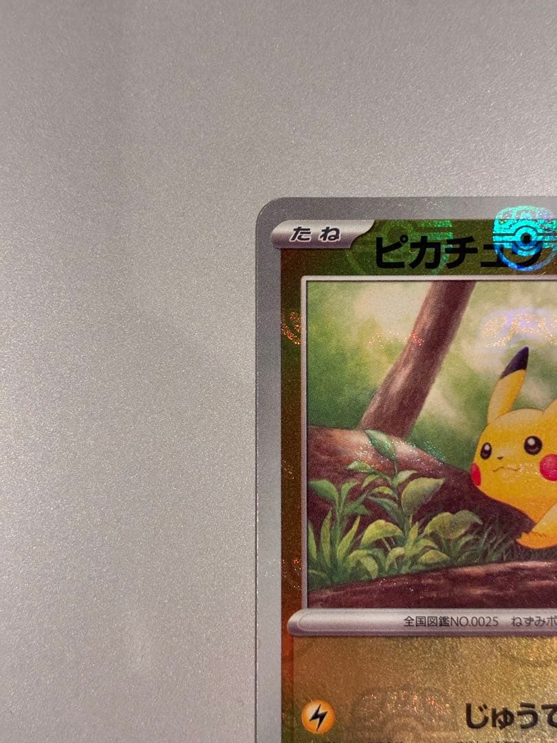 マスボピカチュウ