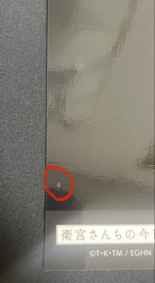 衛宮さんちの今日のごはん ぱしゃこれ 間桐桜 遠坂凛　13枚