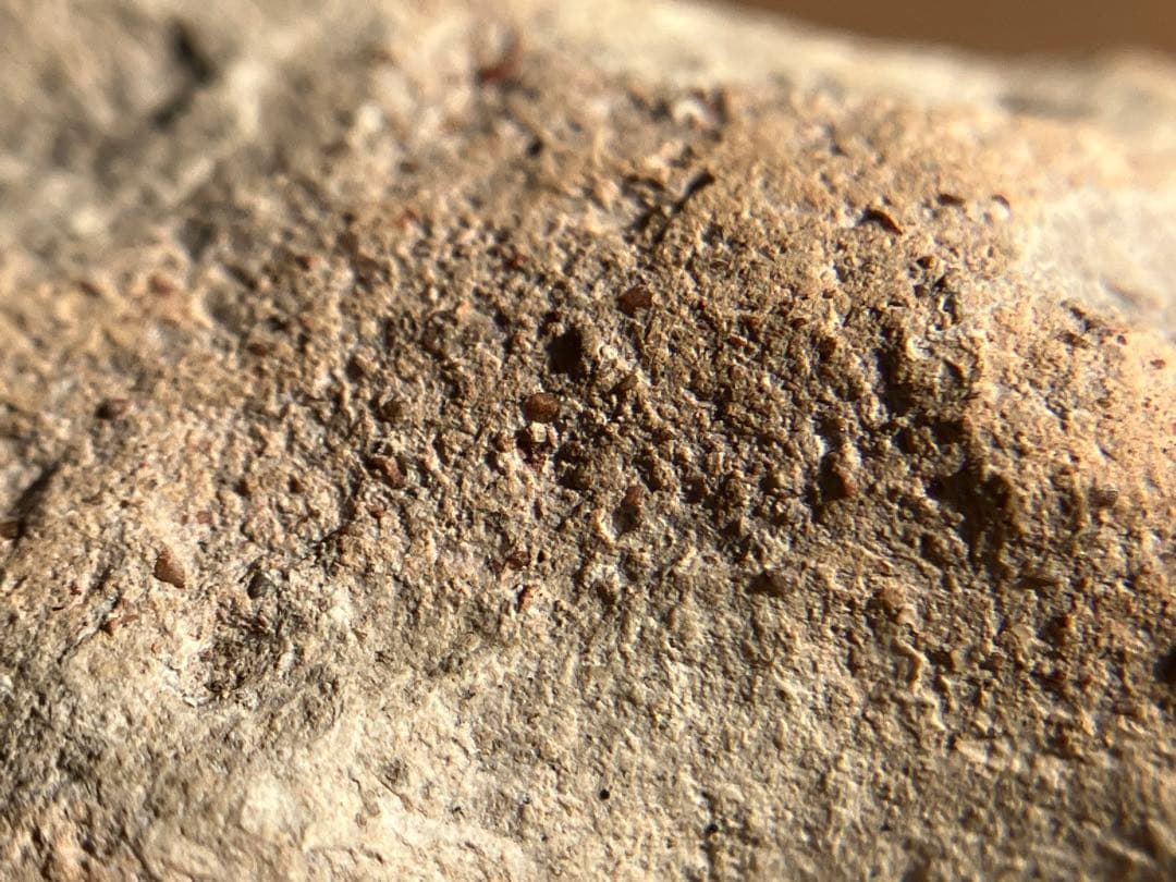 美しい、、古代中国の羊像 新石器時代後期頃 前3000～2000年】骨董