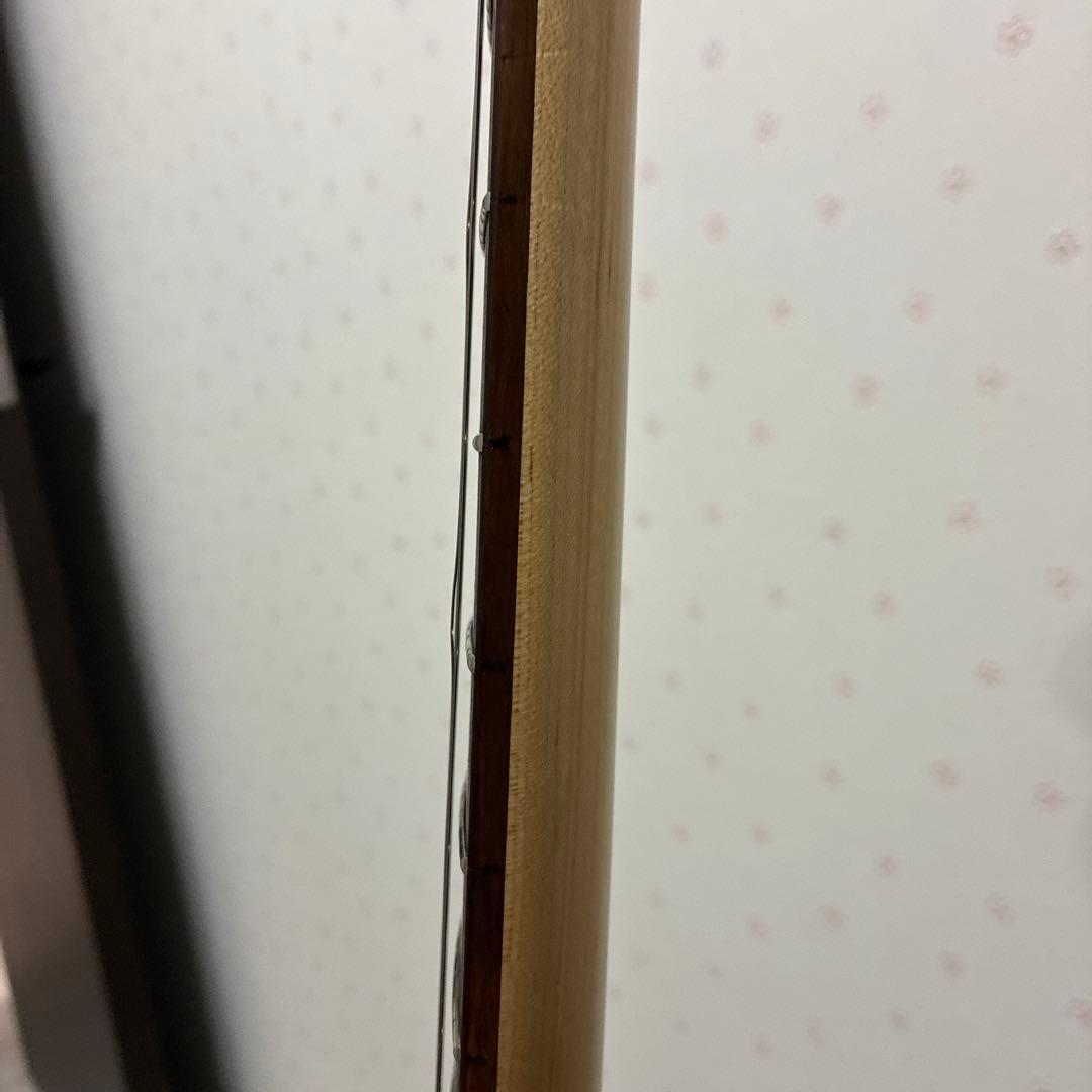 【バッカス】Bacchus BTE-1R/GRM グリーンメタリック　テレキャス