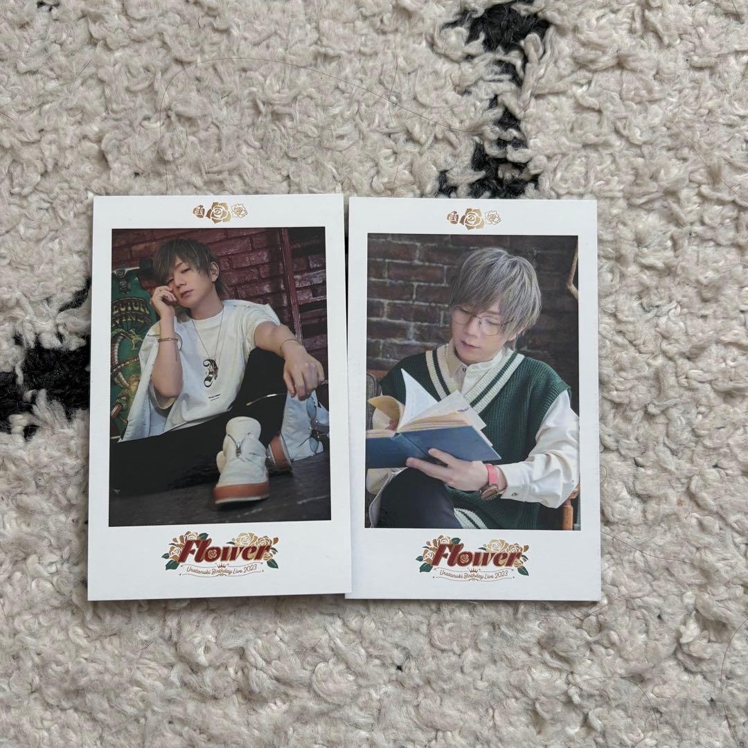 うらたぬき ミニフォトカード チェキ - メルカリ