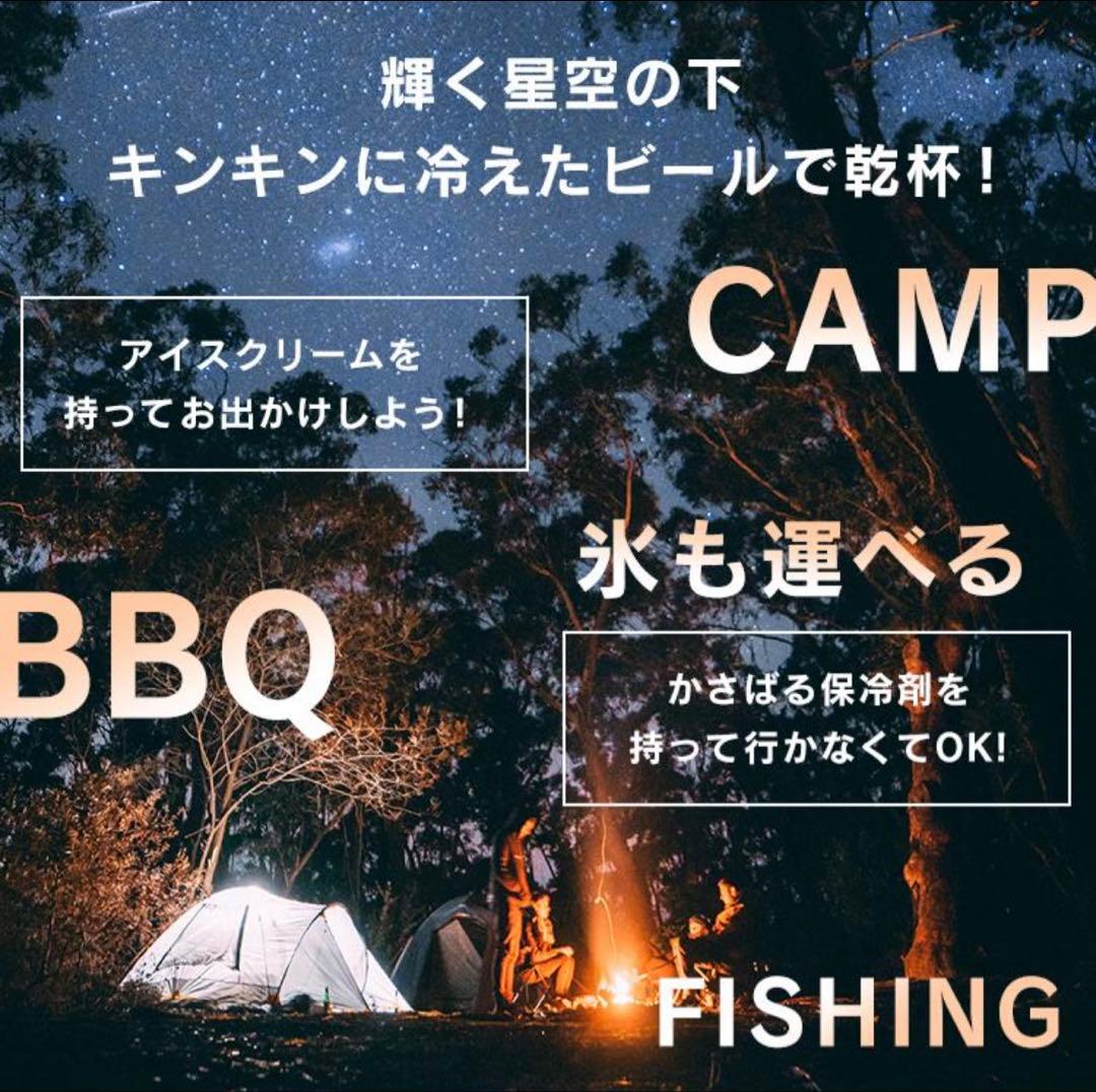 ポータブル冷蔵庫15L　12V24V 100v トラック　キャンプ