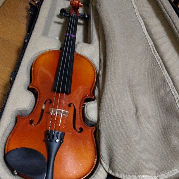 シェクターの薄胴、軽い♪エレアコ美品♪ 楽器・機材