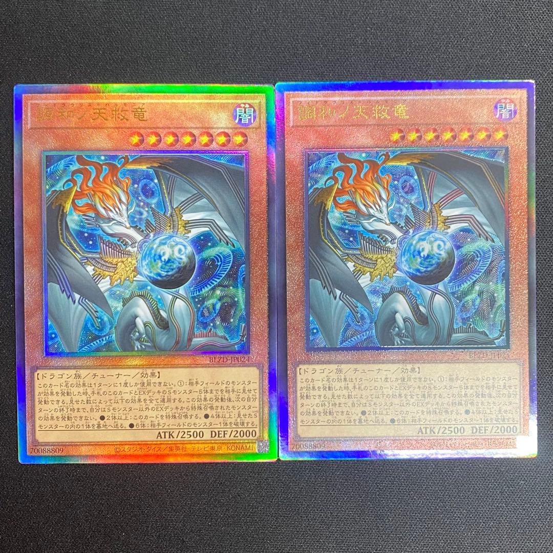 遊戯王 調和ノ天救竜 レリーフ 2枚 - メルカリ