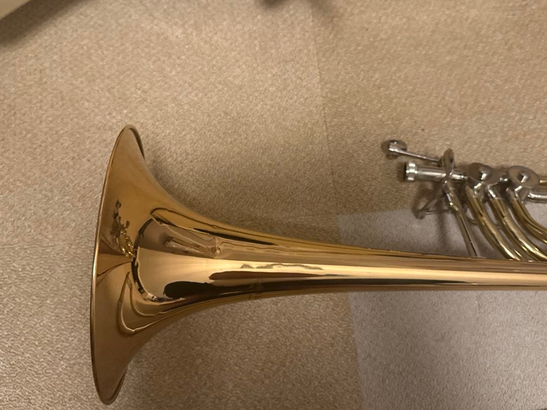 【波動砲】バストロンボーン　シャイニーケース