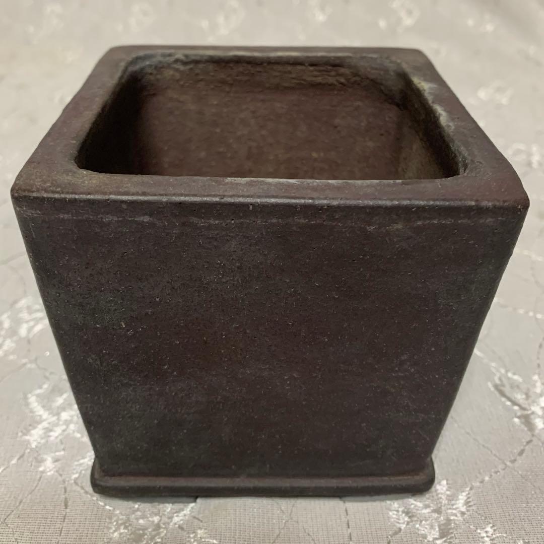 十五堂松泉　山秋　盆栽鉢　正方