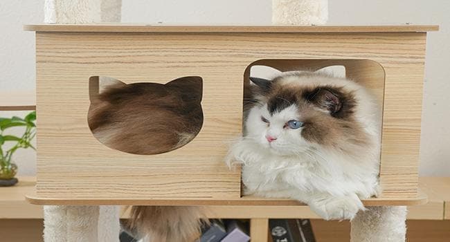 キャットタワー 木製 スリム 多頭飼い 据え置き 宇宙船 nkz06省
