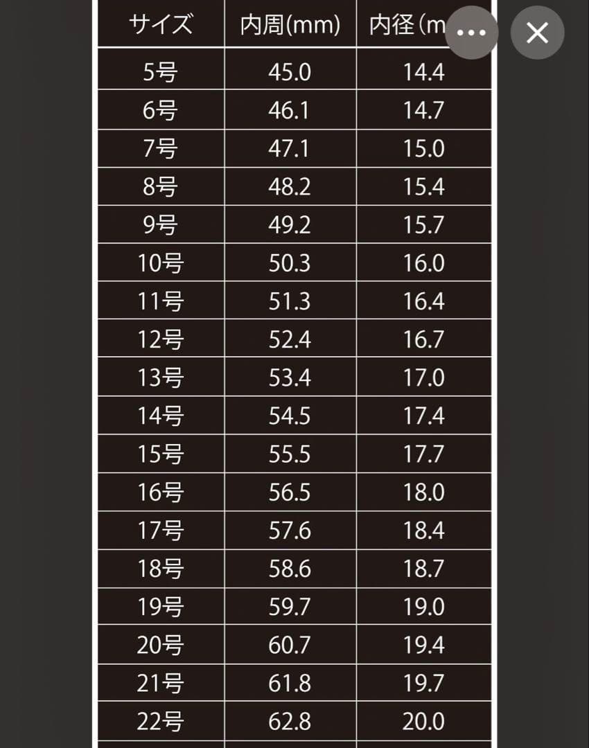 ⭐️最終値下げ⭐️【クロムハーツ】エタニティ−ヴァインバンドリング 19号