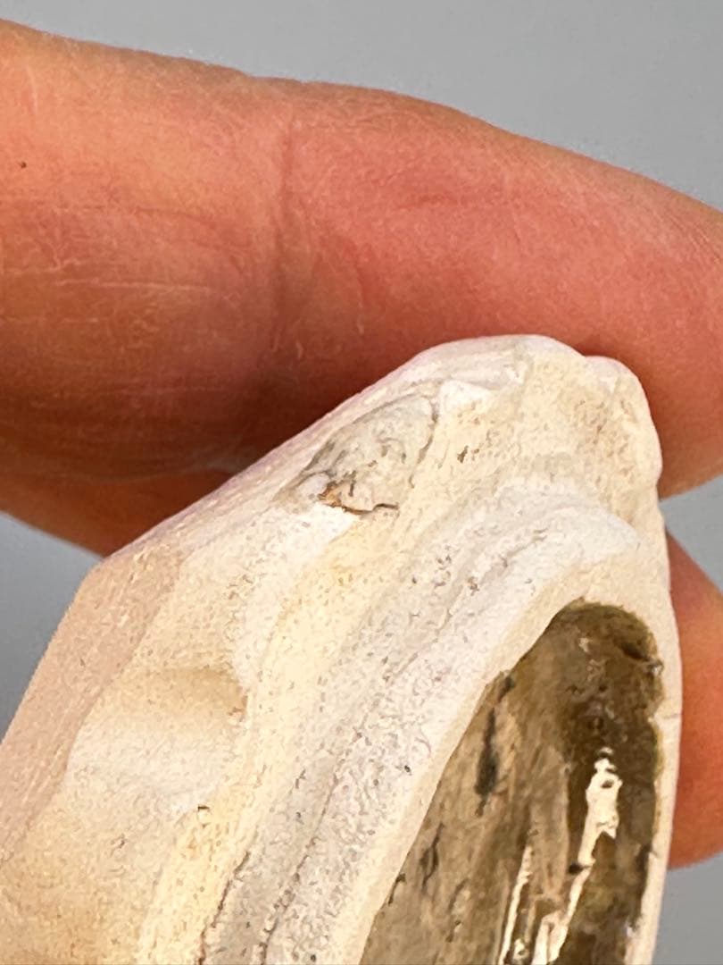 茶道具　香合　スミダ川半七　菊形