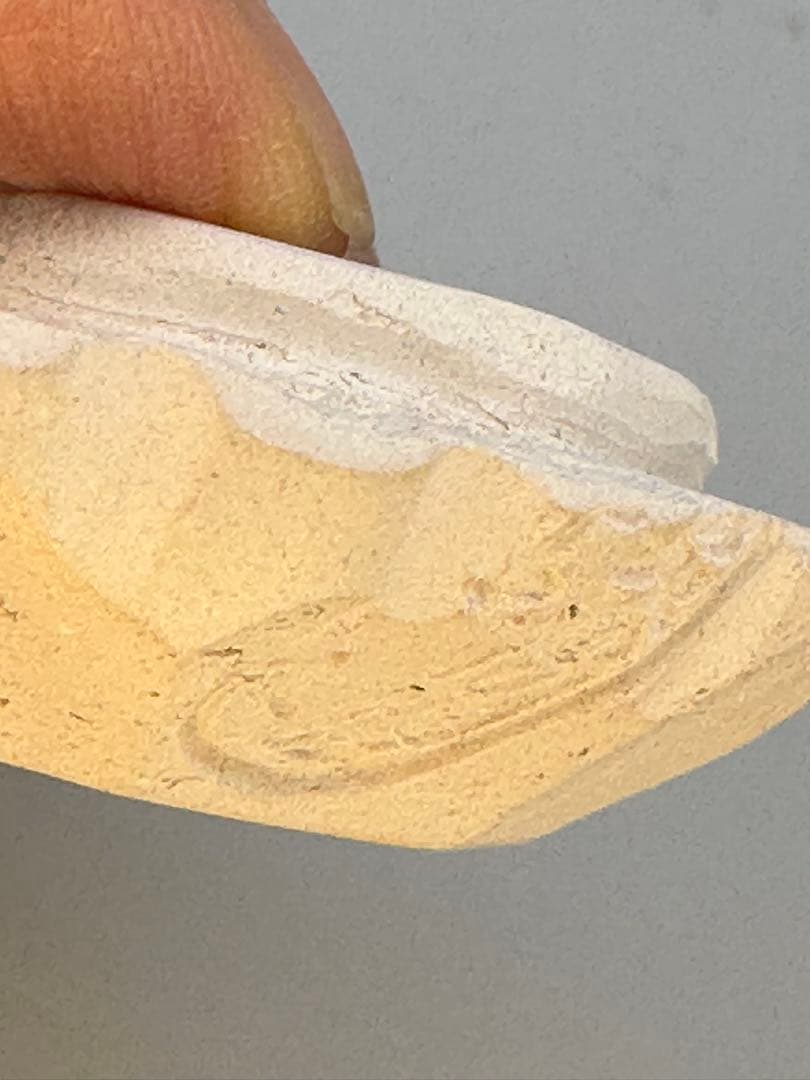 茶道具　香合　スミダ川半七　菊形