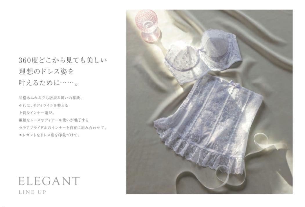 セモア エレガントシリーズ ライダルインナー C70 付属品 計6点セット