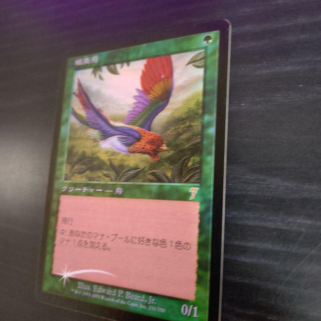 極楽鳥 第七版日本語foil