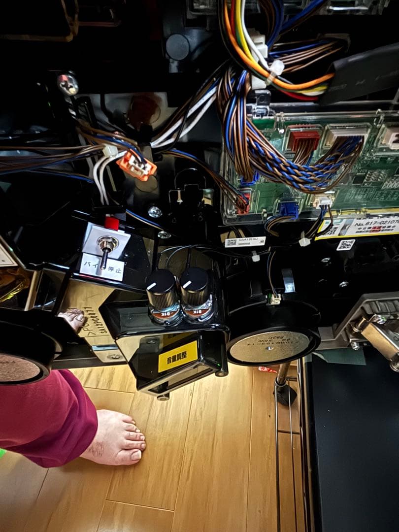 引取り限定大特価戦国乙女2コイン不要機、バイブスイッチ付おまけ有