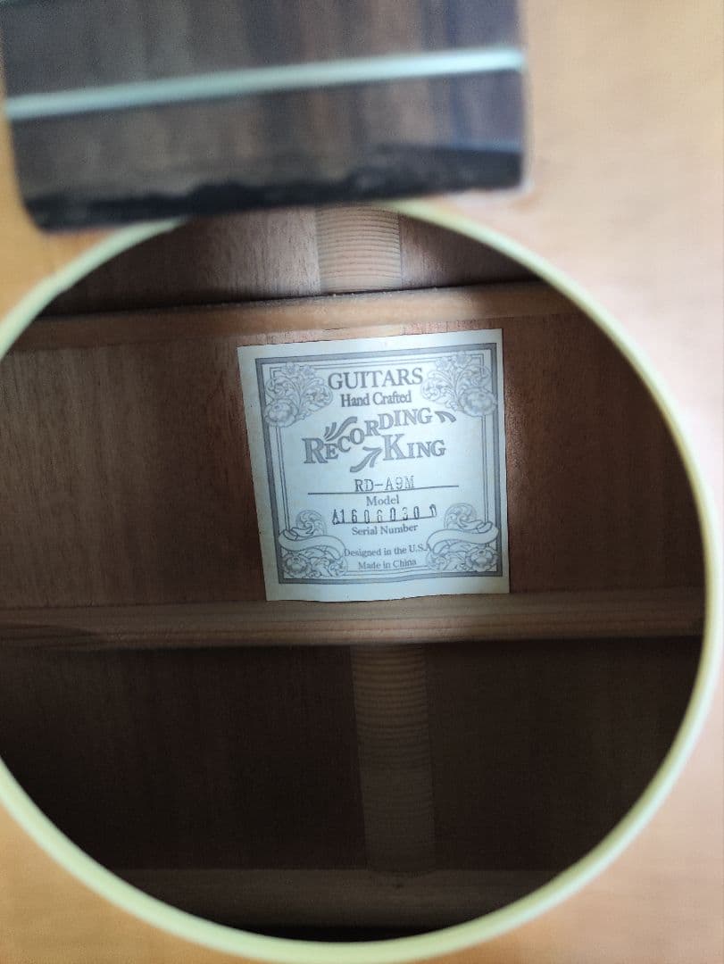 入手困難 Recording King RD-A9M オール単板 ドレッドノート