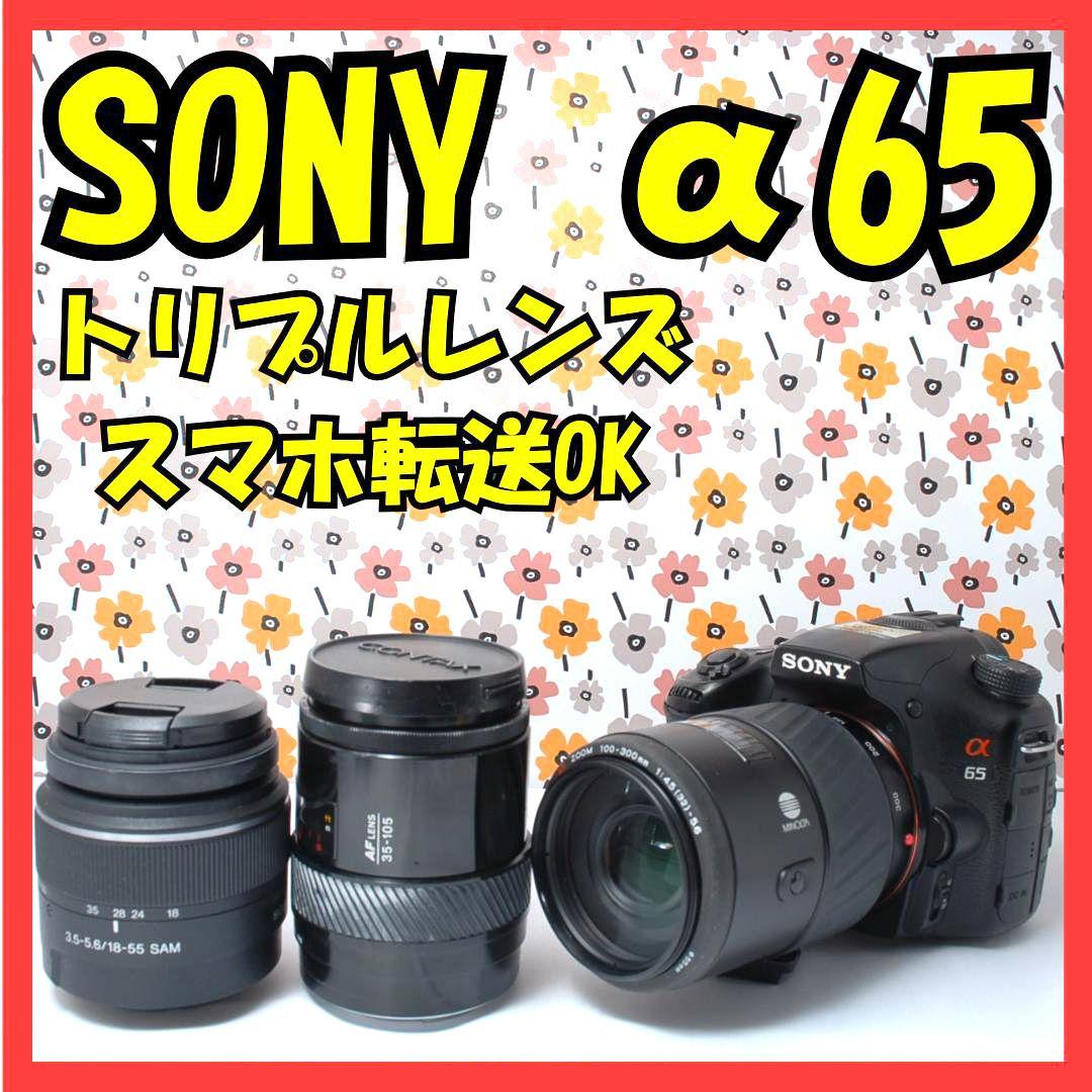 ❤SONY α65❤1秒10コマの高速連射❤トリプルレンズ❤超