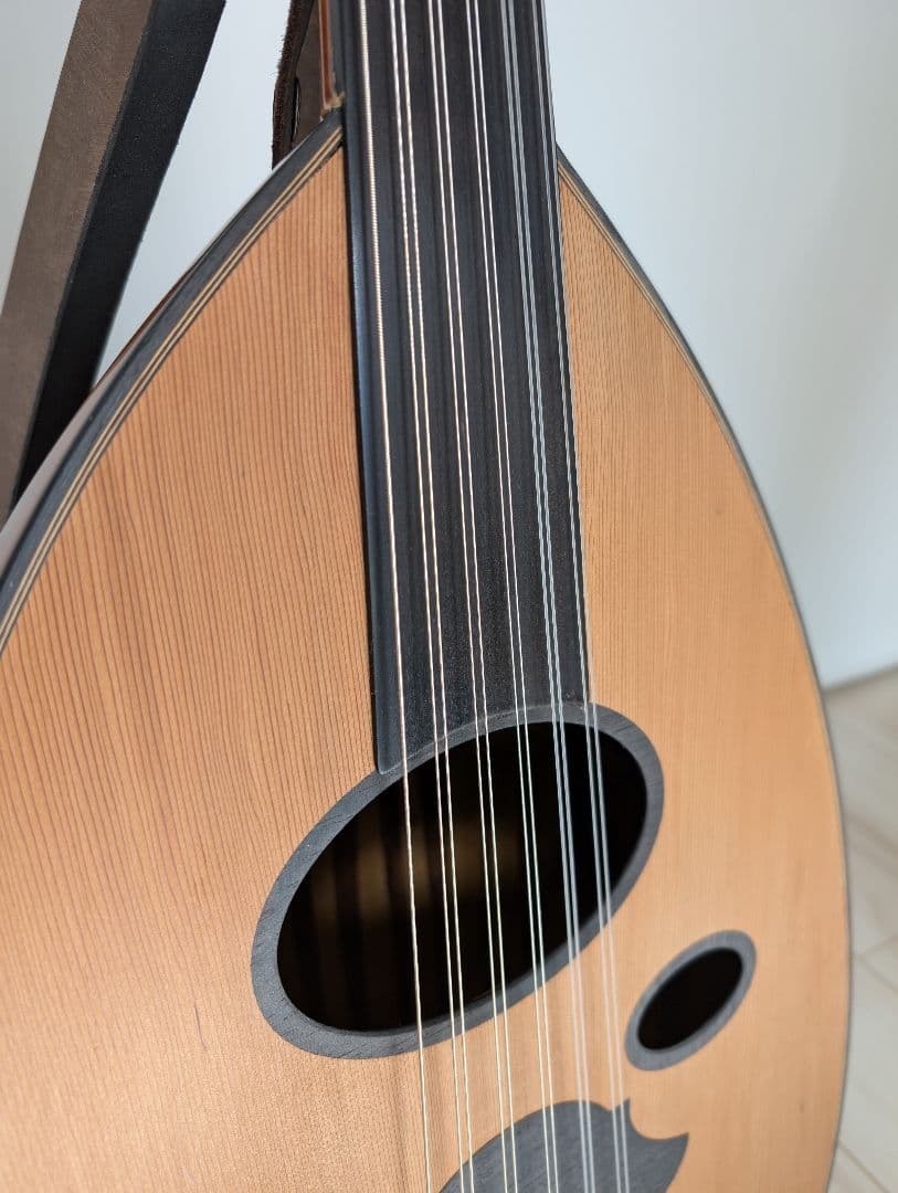 【トルコ製・ハンドメイドウード】Ethnic Musical作・ケース付き