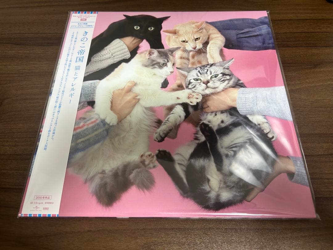 きのこ帝国　アナログ　レコード　猫とアレルギー　タイム・ラプス