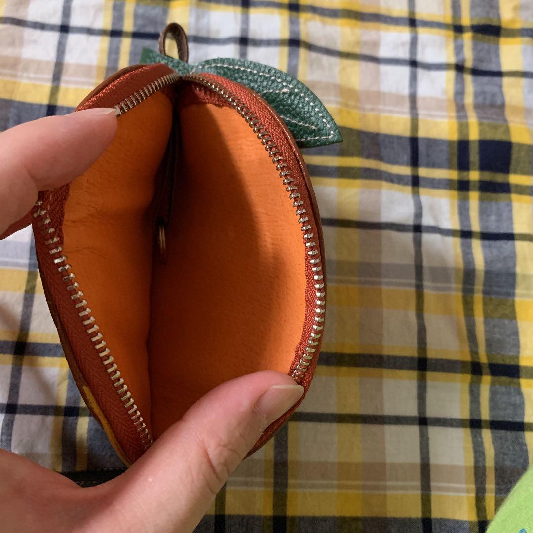 イビザのケース