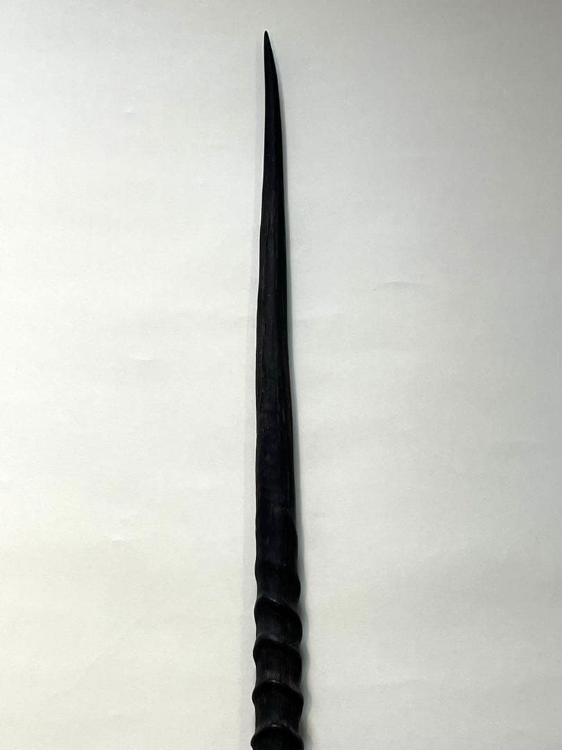 希少② オリックスホーン 鹿の角 検索）一角獣 オウムガイ