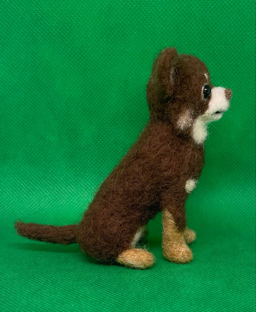 羊毛フェルト にこにこポメラニアン オレンジ 11 - メルカリ 羊毛