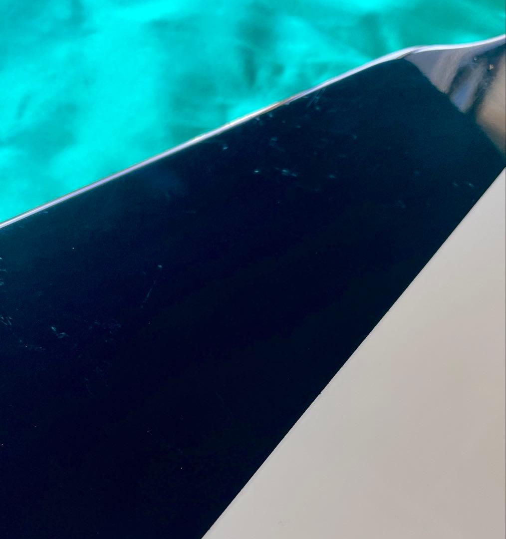 FERNANDES 日本製 マイケルシェンカーV ESPギグバッグ付